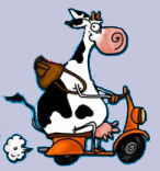 Avatar de l’utilisateur