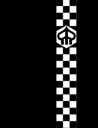 Projet Damier.jpg