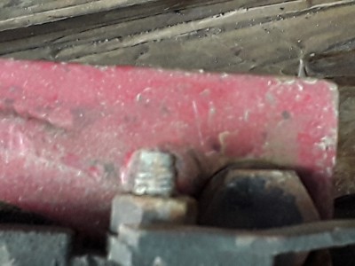 20241005_120039.jpg