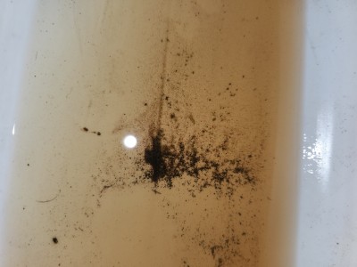 20250209_Salete Essence125345.jpg