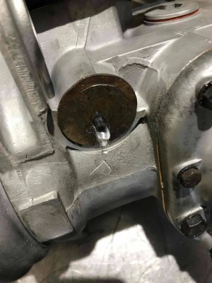2-TAMPON extraction.jpg