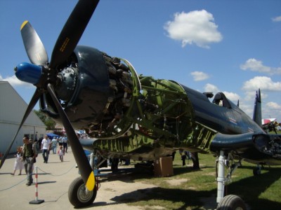 mustang reconstruction II.JPG