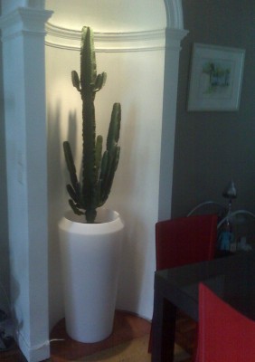 IMG00221.jpg